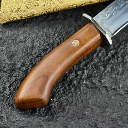 Dragon Brocade Gold-Accented Short Katana – Hand-Forged Outdoor Wakizashi Sword