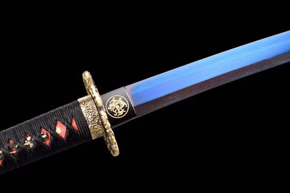 Akashic pupil